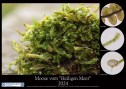 Moose-Posterformat-Kalender-2024-Deckblatt